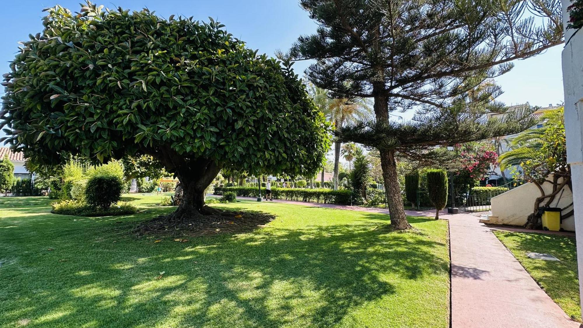 Marbella Estudio Carolina Park Exterior foto